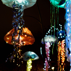 VPL2026_Photo_Maison-du-Velo-Lyon-Metropole-8